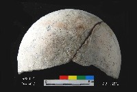 芝山岩文化淺缽形器藏品圖，第2張