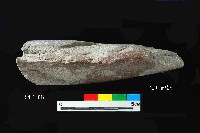 芝山岩文化打製加磨斧鋤形器藏品圖，第3張