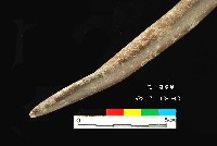 芝山岩文化角尖器藏品圖，第3張