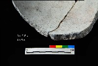 芝山岩文化深缽形器藏品圖，第3張