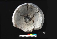 芝山岩文化仰盆柱把陶蓋藏品圖，第2張