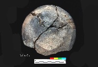 芝山岩文化仰盆柱把陶蓋藏品圖，第4張