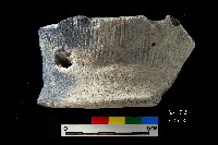 大坌坑文化矮圈足藏品圖，第1張