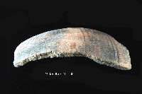 芝山岩文化黑彩折肩器藏品圖，第2張