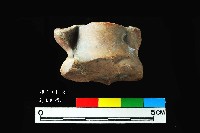 芝山岩文化獸距骨藏品圖，第1張