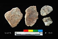 松山層窗貝藏品圖，第1張