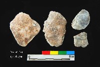 松山層窗貝藏品圖，第2張