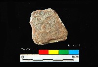 松山層窗貝藏品圖，第3張