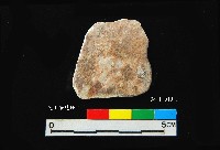 松山層窗貝藏品圖，第4張