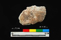 松山層窗貝藏品圖，第6張