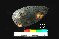 芝山岩文化陀螺形木製品藏品圖，第2張