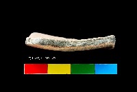 芝山岩文化黑彩陶容器底部藏品圖，第3張