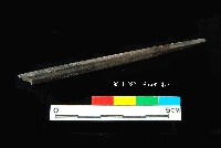 芝山岩文化骨尖器藏品圖，第2張