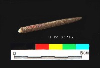 芝山岩文化骨尖器藏品圖，第3張