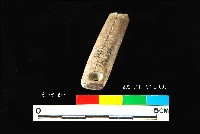 芝山岩文化穿孔骨器藏品圖，第3張