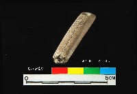 芝山岩文化穿孔骨器藏品圖，第4張