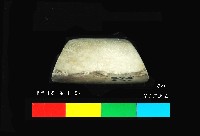 圓山文化磨製石錛藏品圖，第6張