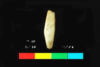 圓山文化玉鑿藏品圖，第5張