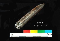 芝山岩文化骨尖器藏品圖，第3張