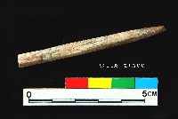 芝山岩文化骨尖器藏品圖，第2張