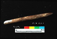 芝山岩文化骨尖器藏品圖，第3張