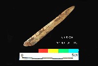 芝山岩文化骨尖器藏品圖，第2張