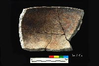 芝山岩文化紅衣缽形器藏品圖，第4張