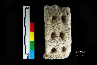 圓山文化陶把藏品圖，第1張