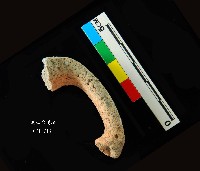 圓山文化陶把藏品圖，第3張