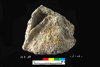 芝山岩文化竹編物藏品圖，第1張