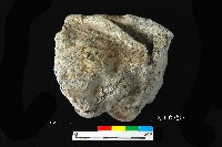 芝山岩文化竹編物藏品圖，第2張