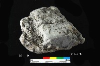 芝山岩文化竹編物藏品圖，第3張