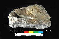 芝山岩文化竹編物藏品圖，第4張