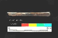 芝山岩文化獸骨藏品圖，第1張