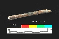 芝山岩文化獸骨藏品圖，第3張