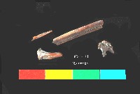 芝山岩文化骨藏品圖，第2張