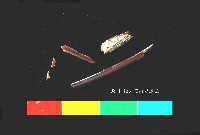 芝山岩文化獸骨藏品圖，第2張