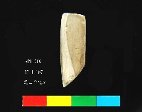 芝山岩文化磨製石錛藏品圖，第3張