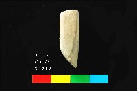 芝山岩文化磨製石錛藏品圖，第5張