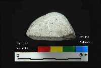 圓山文化磨製石錛藏品圖，第4張