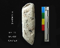 圓山文化磨製石錛藏品圖，第5張