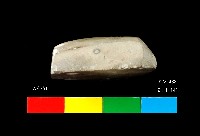 圓山文化磨製石錛藏品圖，第5張