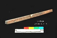 芝山岩文化骨尖器藏品圖，第2張