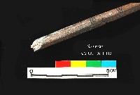 芝山岩文化骨尖器藏品圖，第3張