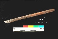 芝山岩文化骨尖器藏品圖，第4張