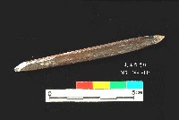 芝山岩文化骨尖器藏品圖，第1張