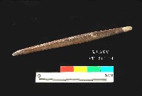 芝山岩文化骨尖器藏品圖，第3張