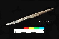 芝山岩文化骨尖器藏品圖，第3張