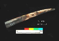 芝山岩文化角尖器藏品圖，第2張