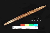 芝山岩文化骨尖器藏品圖，第2張